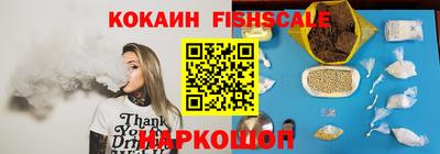 стафф Кингисепп