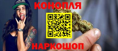 стафф Кингисепп