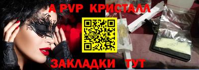 стафф Кингисепп