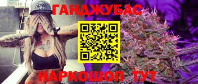 стафф Кингисепп