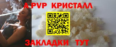 стафф Кингисепп