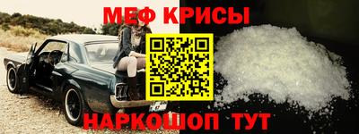 стафф Кингисепп