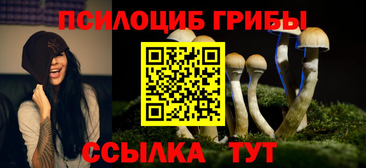 Псилоцибиновые грибы мухоморы  Вход с VPN  Фролово 